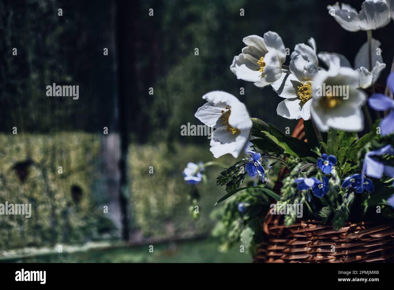 Korb voller schöner bunter Blumen, Windblumen, schlanker Speedwell, Threadstalk Speedwell Stockfoto