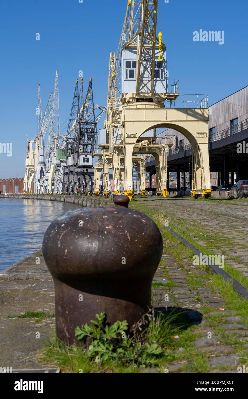 Hafenkrane am Scheldt-Kai, die weltweit größte Sammlung historischer Krane, sind Teil des MAS, Museum aan de Stroom, Museum am Strom, Bon Stockfoto