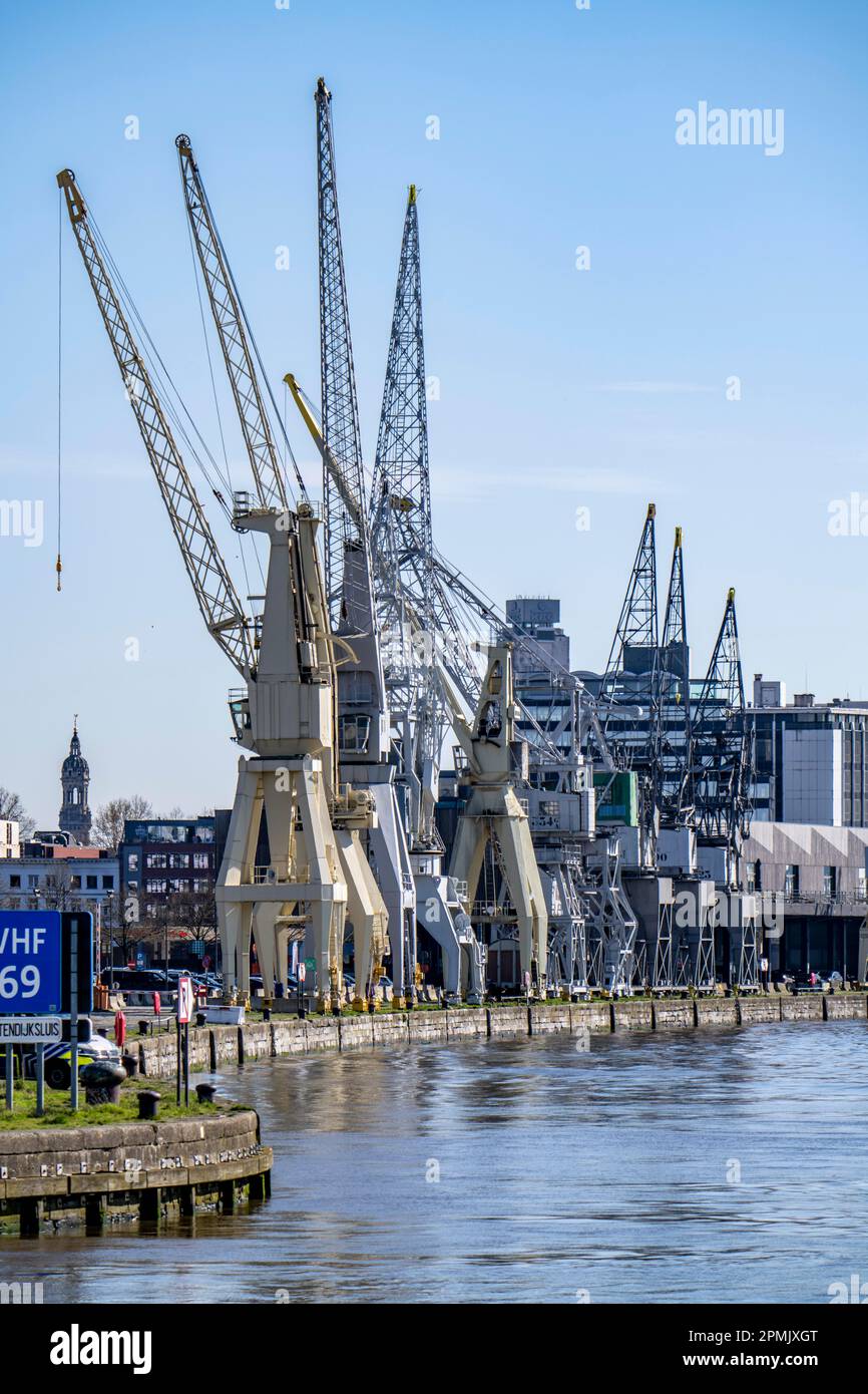 Hafenkrane am Scheldt-Kai, die weltweit größte Sammlung historischer Krane, sind Teil des MAS, Museum aan de Stroom, Museum am Strom, Bon Stockfoto
