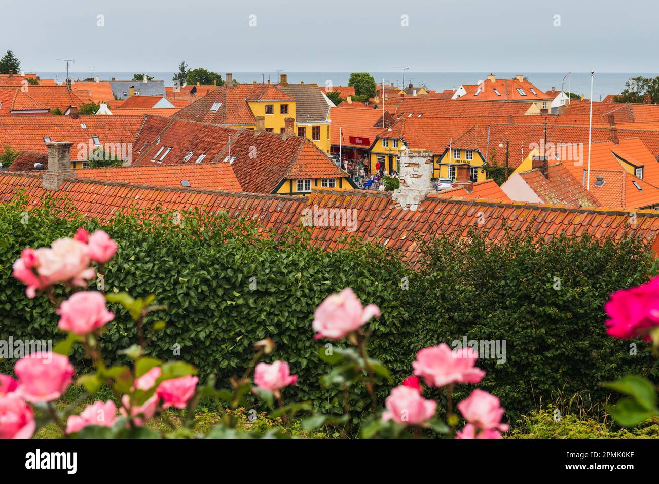 Blick auf die roten Dächer der Stadt und Rosen im Vorfeld. Insel Bornholm Dänemark. Stockfoto