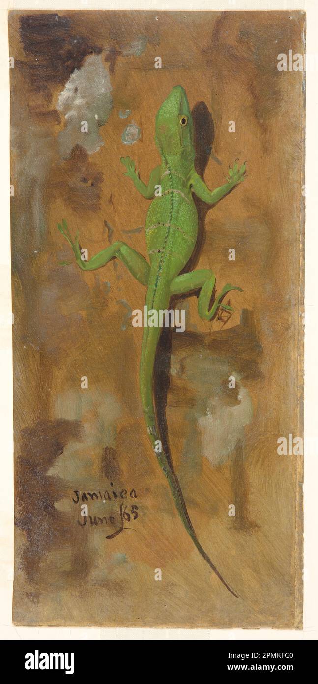 Zeichnung, A Lizard, Jamaika; Frederic Edwin Church (amerikanisch, 1826–1900); USA; Pinsel und Öl auf Pappe; 30,5 x 15,5 cm (12 x 6 1/8 Zoll) Stockfoto