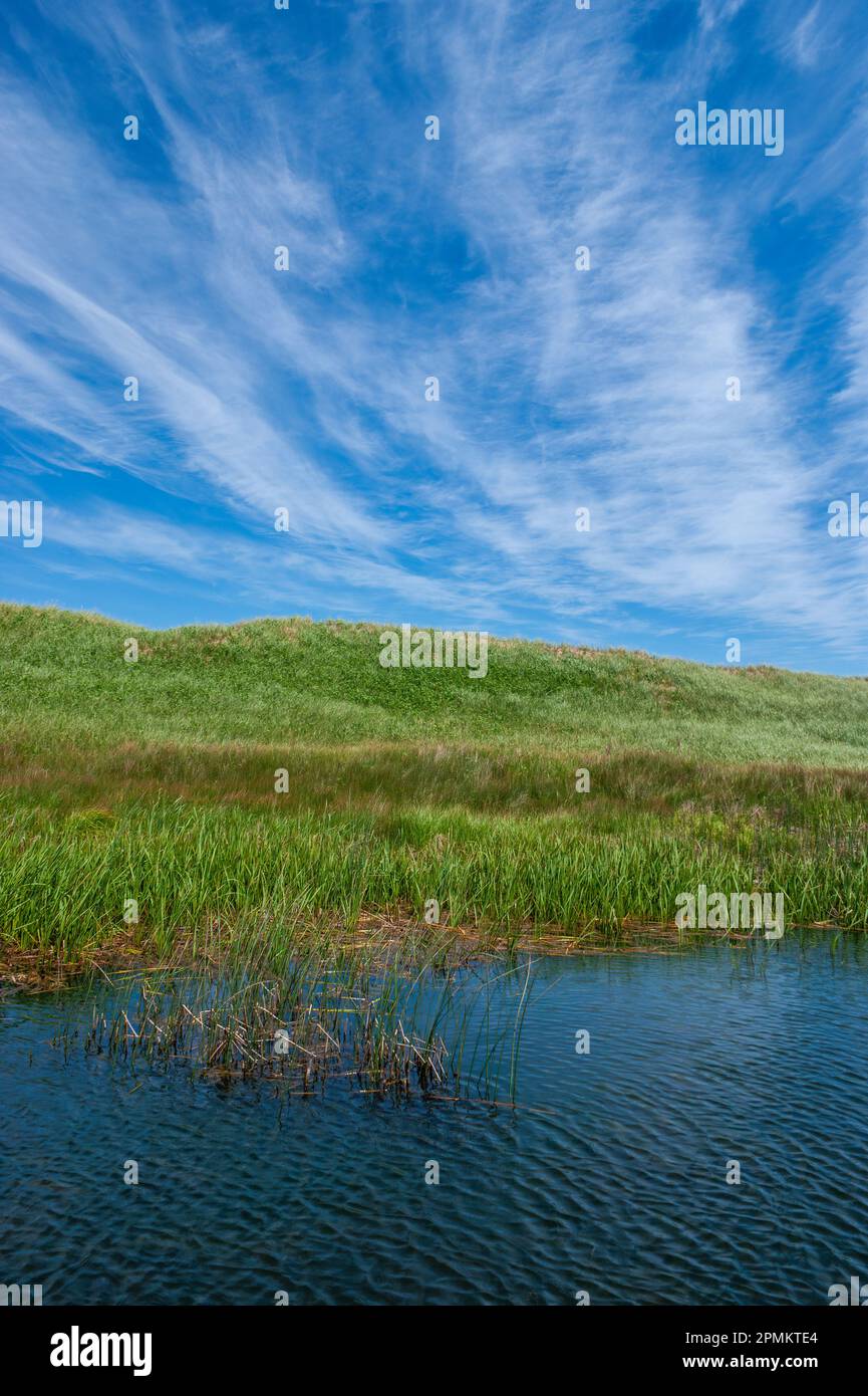 Küstendünen, bedeckt mit Marramgräsern, zwischen dem See von Shining Waters und dem Golf von St. Lawrence. Cavendish Dunelands, PEI-Nationalpark. Stockfoto