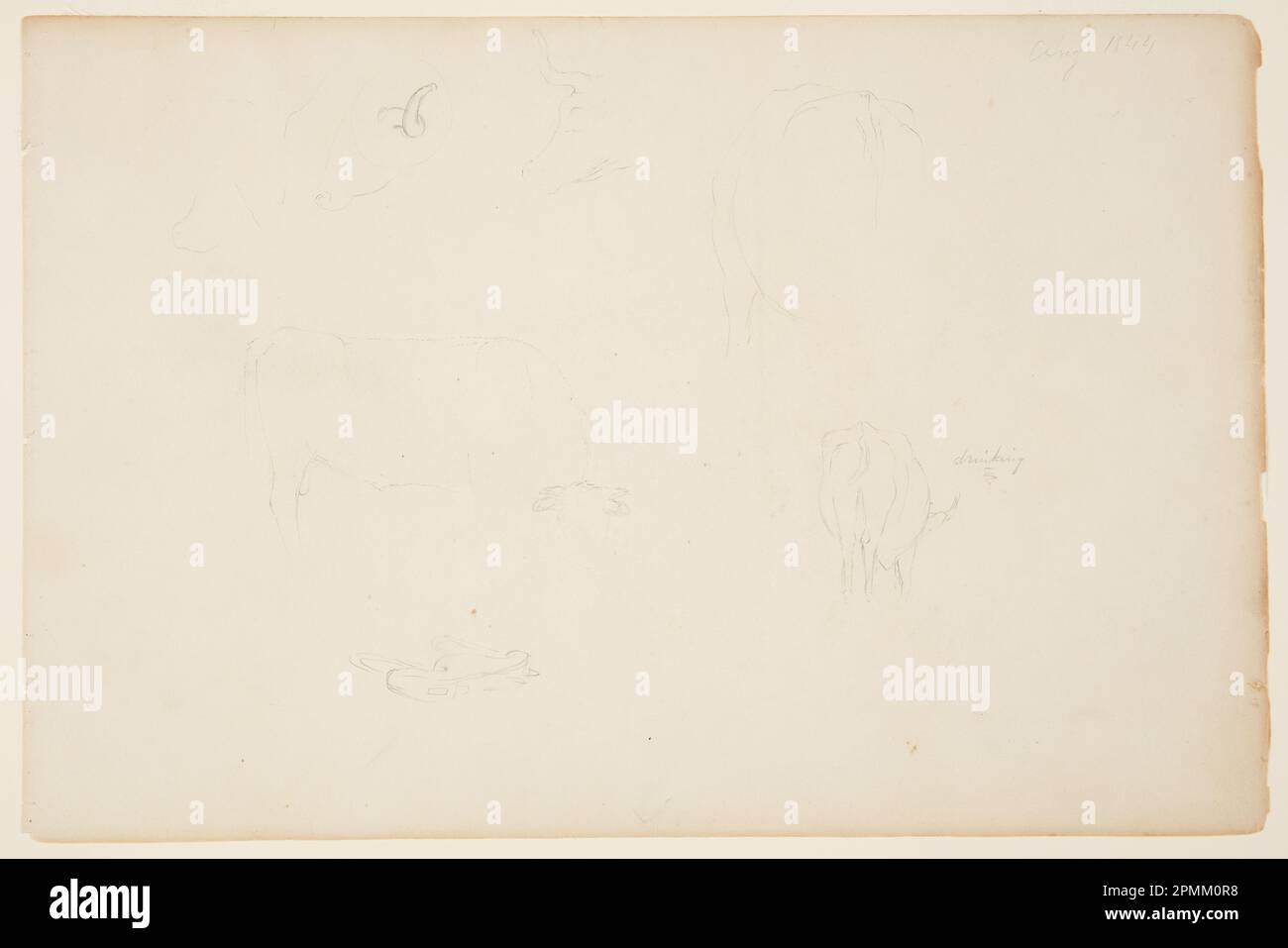 Zeichnen, Weiden von Kühen und Joch; Frederic Edwin Church (amerikanisch, 1826–1900); USA; Graphit auf cremefarbenem gewebtem Papier; Blatt: 25,8 x 38,8 cm (10 3/16 x 15 1/4 Zoll) Stockfoto