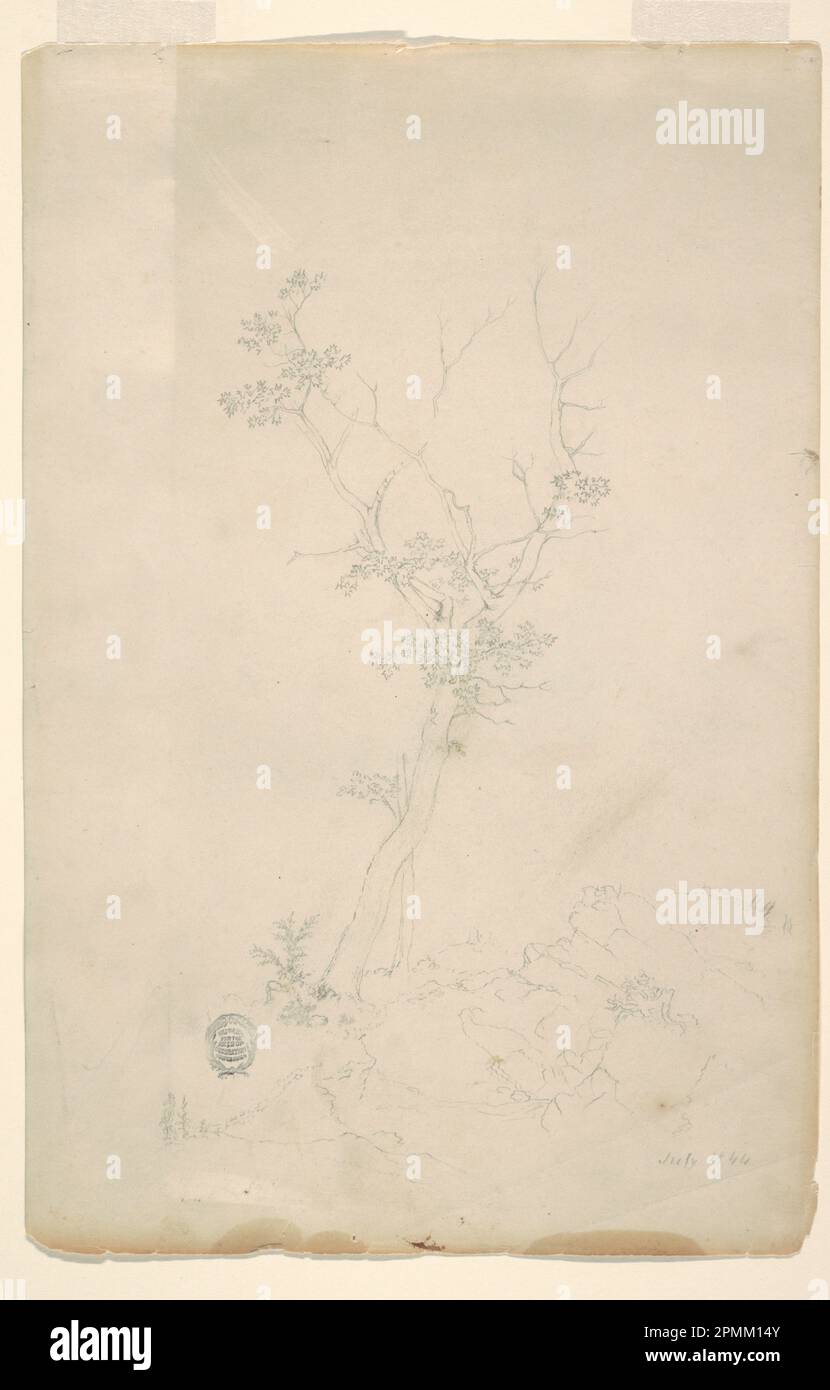 Zeichnen, Baum; Frederic Edwin Kirche (amerikanisch, 1826–1900); USA; Graphit auf Papier; Blatt: 38,8 x 25,7 cm (15 1/4 x 10 1/8 Zoll) Stockfoto