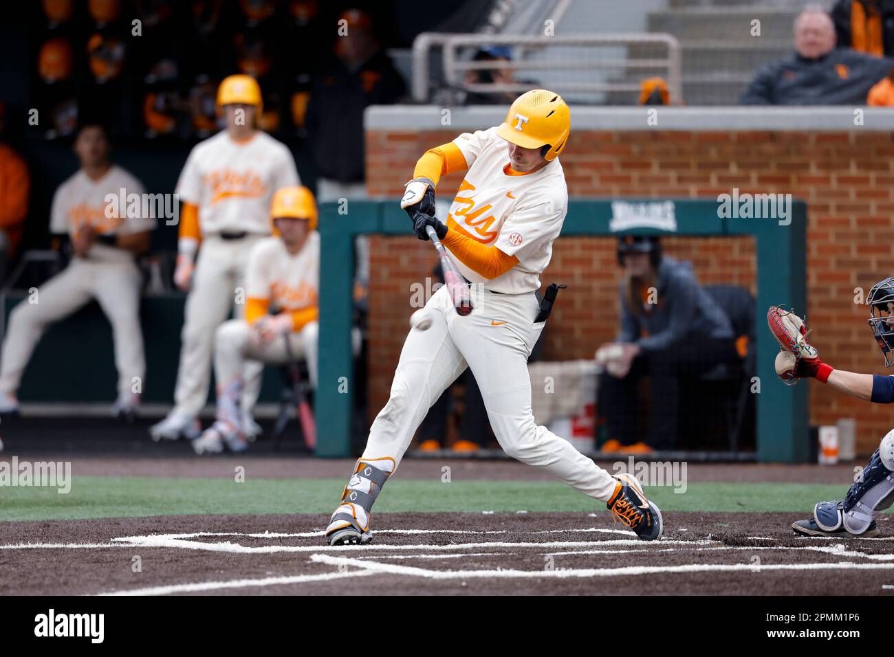 Tennessee Volunteers left fielder Jared Dickey (17) at bat during an