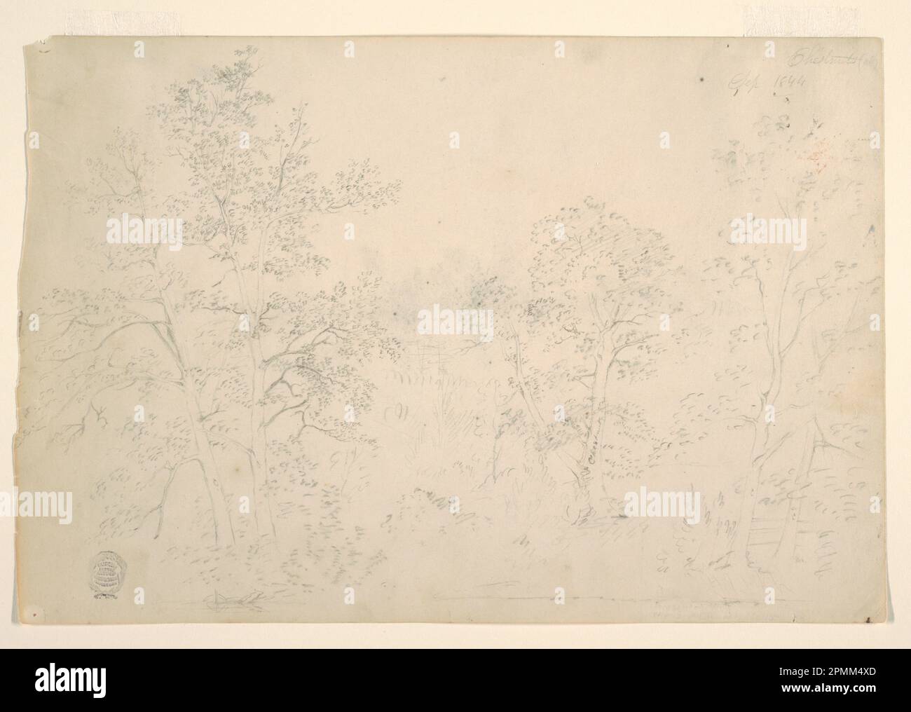 Zeichnen, Kastanienbäume am Ufer; Frederic Edwin Kirche (amerikanisch, 1826–1900); USA; schwarzer Stift auf Papier; Blatt: 25,7 x 38,8 cm (10 1/8 x 15 1/4 Zoll) Stockfoto