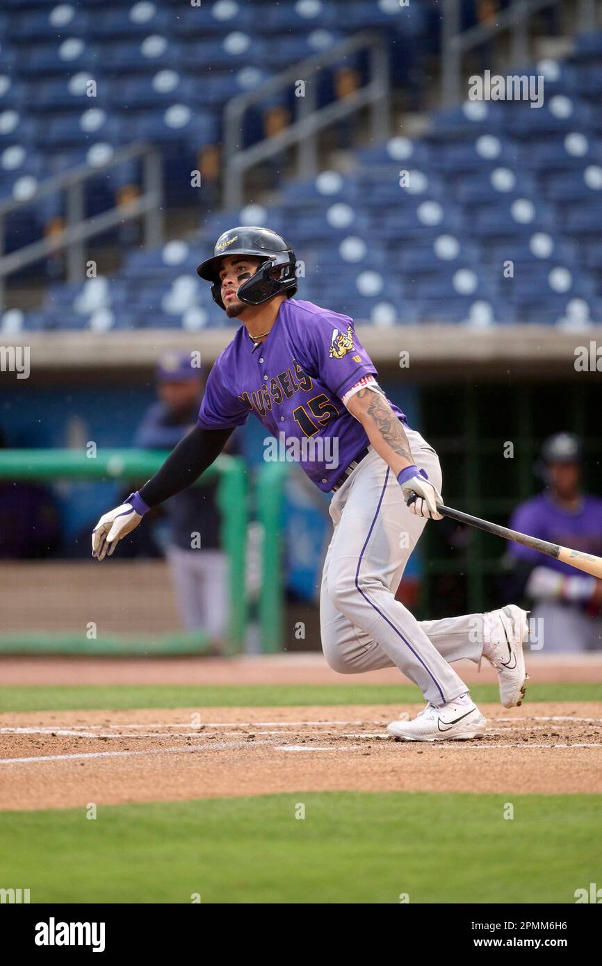 Fort Myers Mighty Mussels Jorel Ortega (15) bats during an MiLB Florida