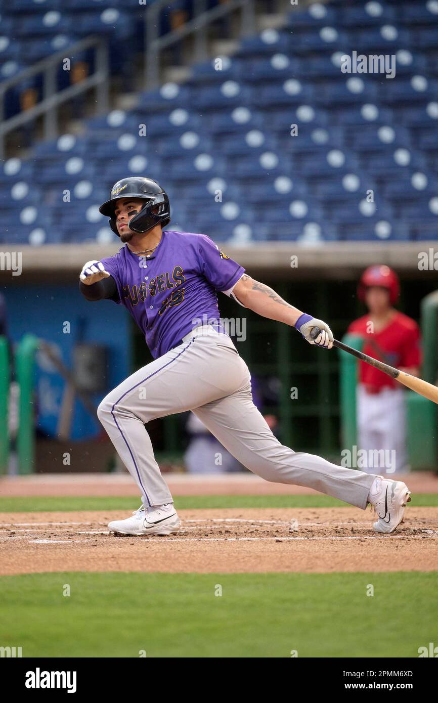 Fort Myers Mighty Mussels Jorel Ortega (15) bats during an MiLB Florida
