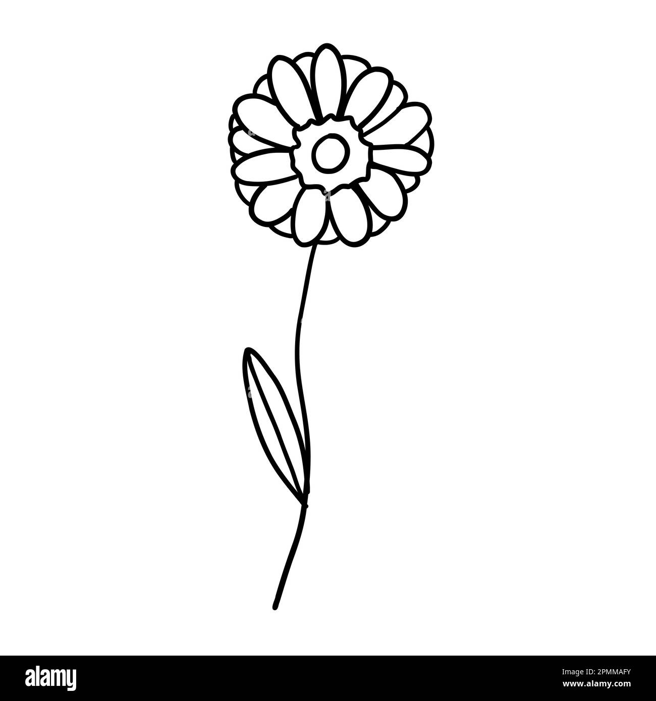 Blume in Umrissform flacher Stil zum Ausmalen. Die einfache Pflanze mit Blumenelementen hinterlässt ein dekoratives Design. Handgezeichnete Strichzeichnungen. Kreative Skizze. Vektor i Stock Vektor