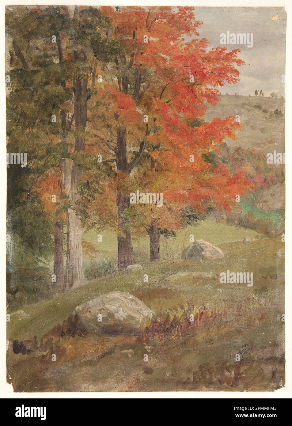 Zeichnen, Holz im Herbst; Frederic Edwin Church (amerikanisch, 1826–1900); USA; Pinsel- und Ölfarbe auf dünner cremefarbener Pappe; 32,9 x 24,1 cm (12 15/16 x 9 1/2 Zoll) Stockfoto
