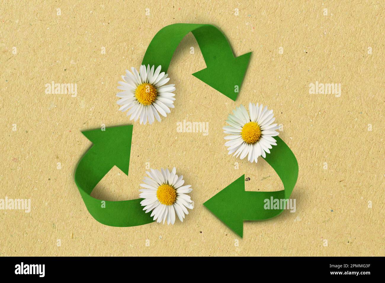 Recycling-Symbol mit Gänseblümchen auf Recycling-Papierhintergrund - Konzept von Ökologie und Recycling Stockfoto