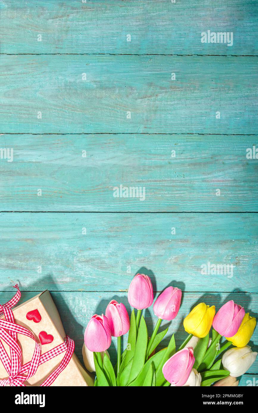 Frühling Urlaub Grußkarte Hintergrund mit verschiedenen Farben Tulpen Blumen, Geschenk-Box, Flatlay auf hellblauen hochfarbigen Holzhintergrund Draufsicht Kopie Stockfoto