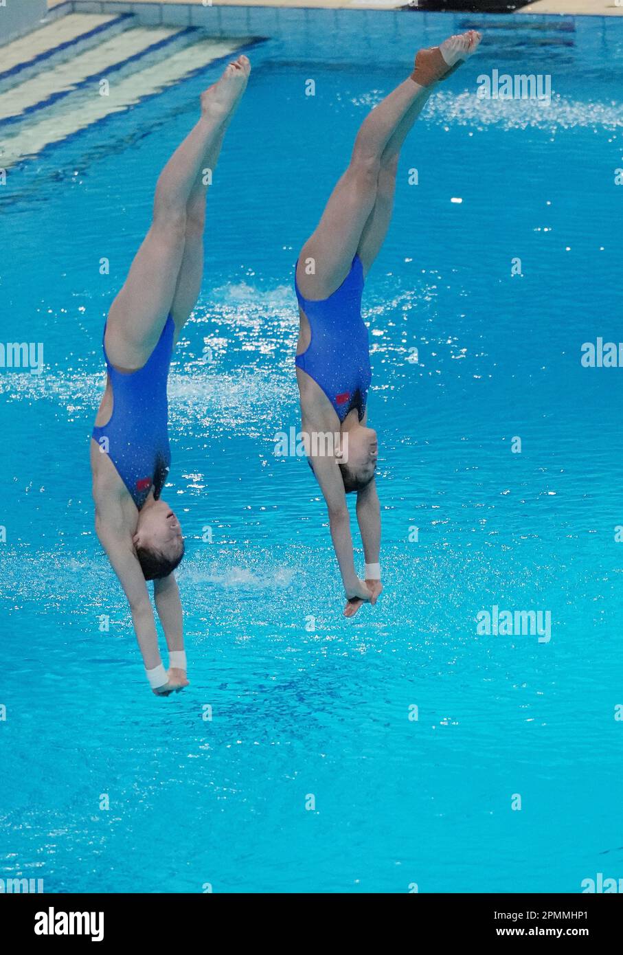 XI'an, Chinas Provinz Shaanxi. 14. April 2023. Quan Hongchan (R) und Chen Yuxi aus China treten während des synchronisierten Finales der Frauen 10m bei der FINA Diving World Cup in Xi'an, Provinz Shaanxi im Nordwesten Chinas, am 14. April 2023 gegeneinander an. Kredit: Li Yibo/Xinhua/Alamy Live News Stockfoto