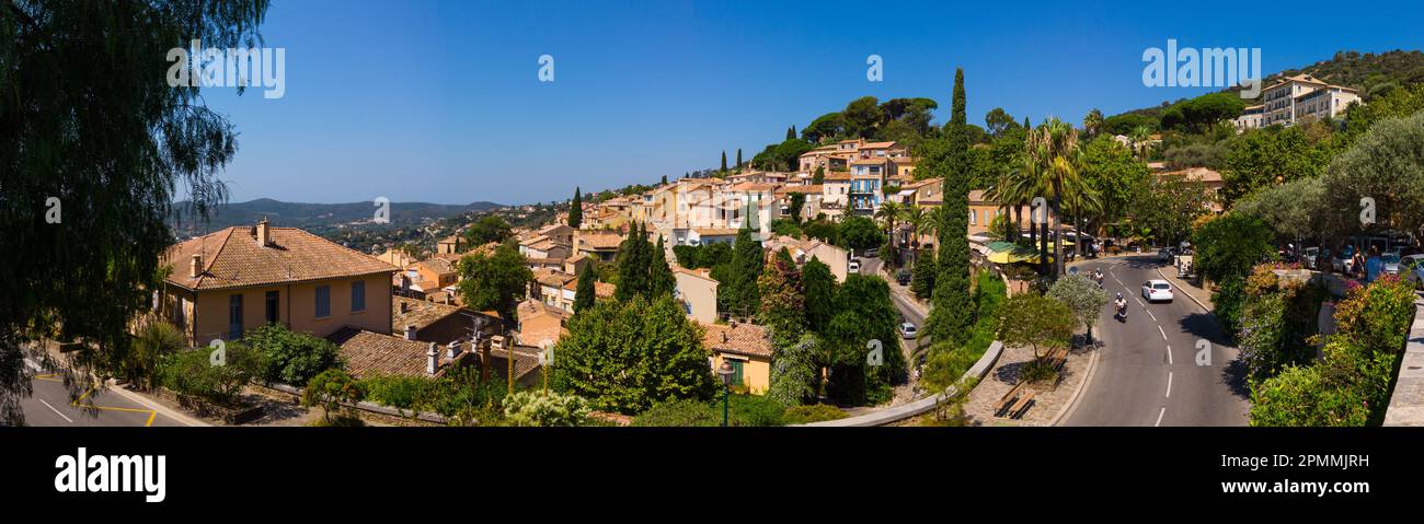 Ein atemberaubender Panoramablick aus einem hohen Winkel auf einen Baum in Bormes-Les-Mimosas an einem Sommertag mit endlosem blauen Himmel und üppigen Pflanzen. Stockfoto