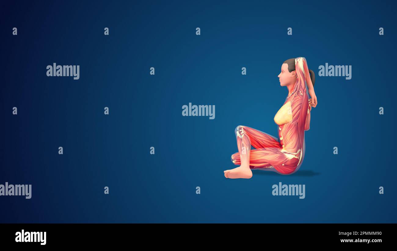 3D humane Gomukhasana- oder Kuh-Yoga-Pose auf blauem Hintergrund Stockfoto