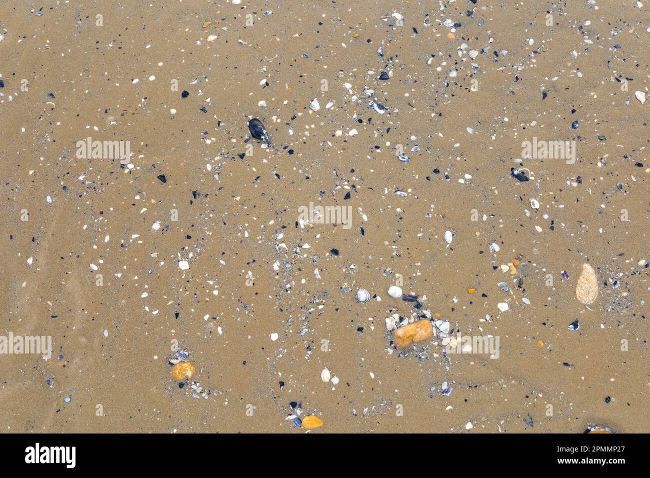 Rustikaler Strand mit Felsen und Sand Stockfoto