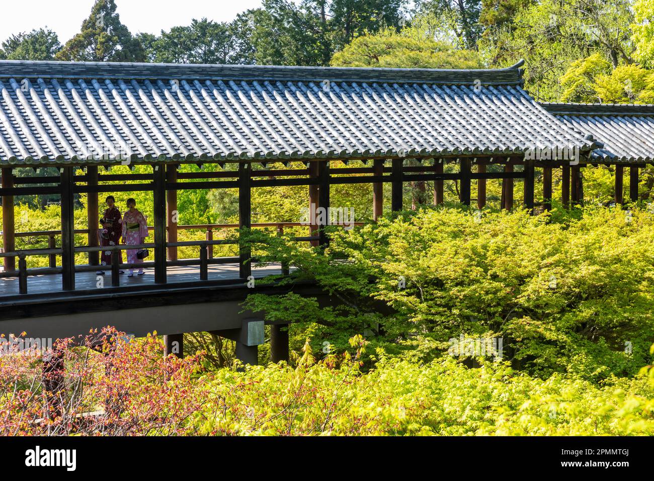 April 2023 Kyoto Japan, Tsutenkyo Holzbrücke im Tofuku-ji Tempel in Kyoto, einer der großen buddhistischen Zen Tempel, Japan, Asien Stockfoto