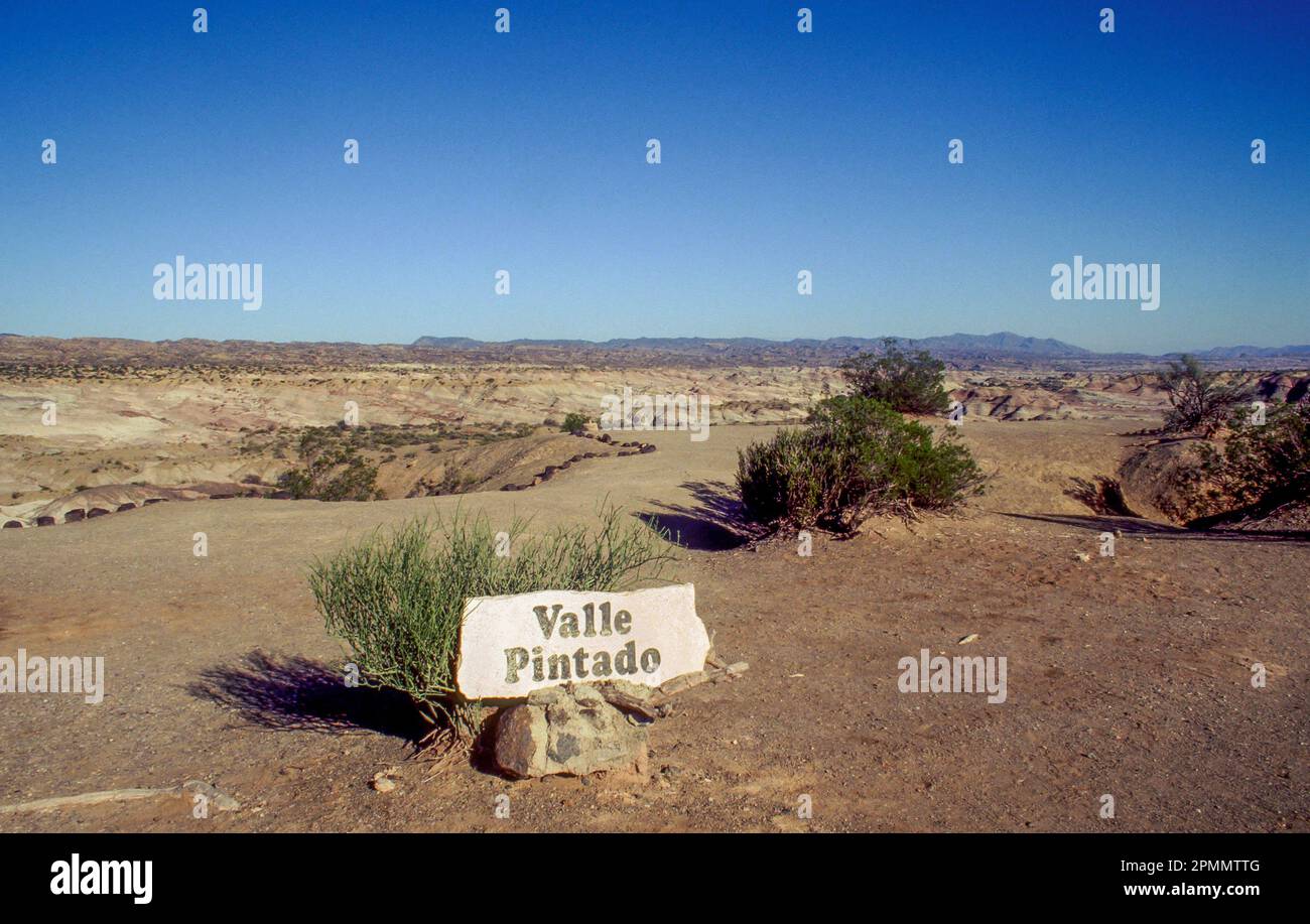 Argentinien, Ischigualasto. Valle Pintado. Die Naturparks Ischigualasto/Talampaya gehören zum UNESCO-Weltkulturerbe mit den ältesten Dinosaurierresten. Stockfoto