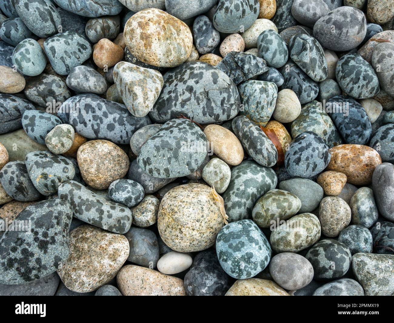 Verstreute Regenschauer/gefleckte Kieselsteine am Elgol Beach, Isle of Skye, Schottland, Großbritannien Stockfoto