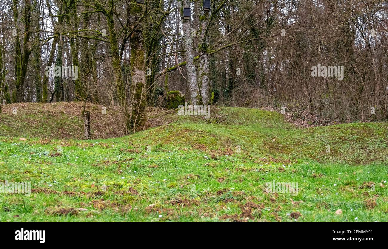 Landschaft rund um Douaumont, ein im ersten Weltkrieg zerstörtes Dorf in der Nähe von Verdun in Frankreich Stockfoto