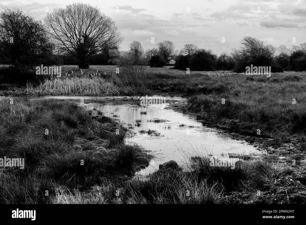 Wasser in der Landschaft, Hemingford Abbots Stockfoto