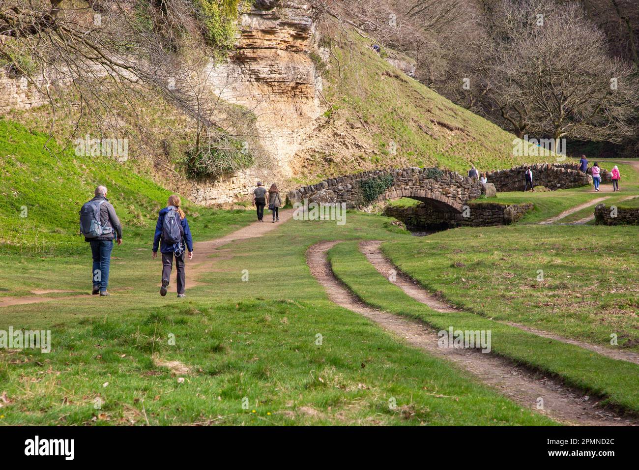 The Seven Bridges Valley Walk ein malerischer Spaziergang auf dem Gelände der Royal Studley Gardens und Fountains Abbey in der Nähe von Ripon in North Yorkshire, England Stockfoto