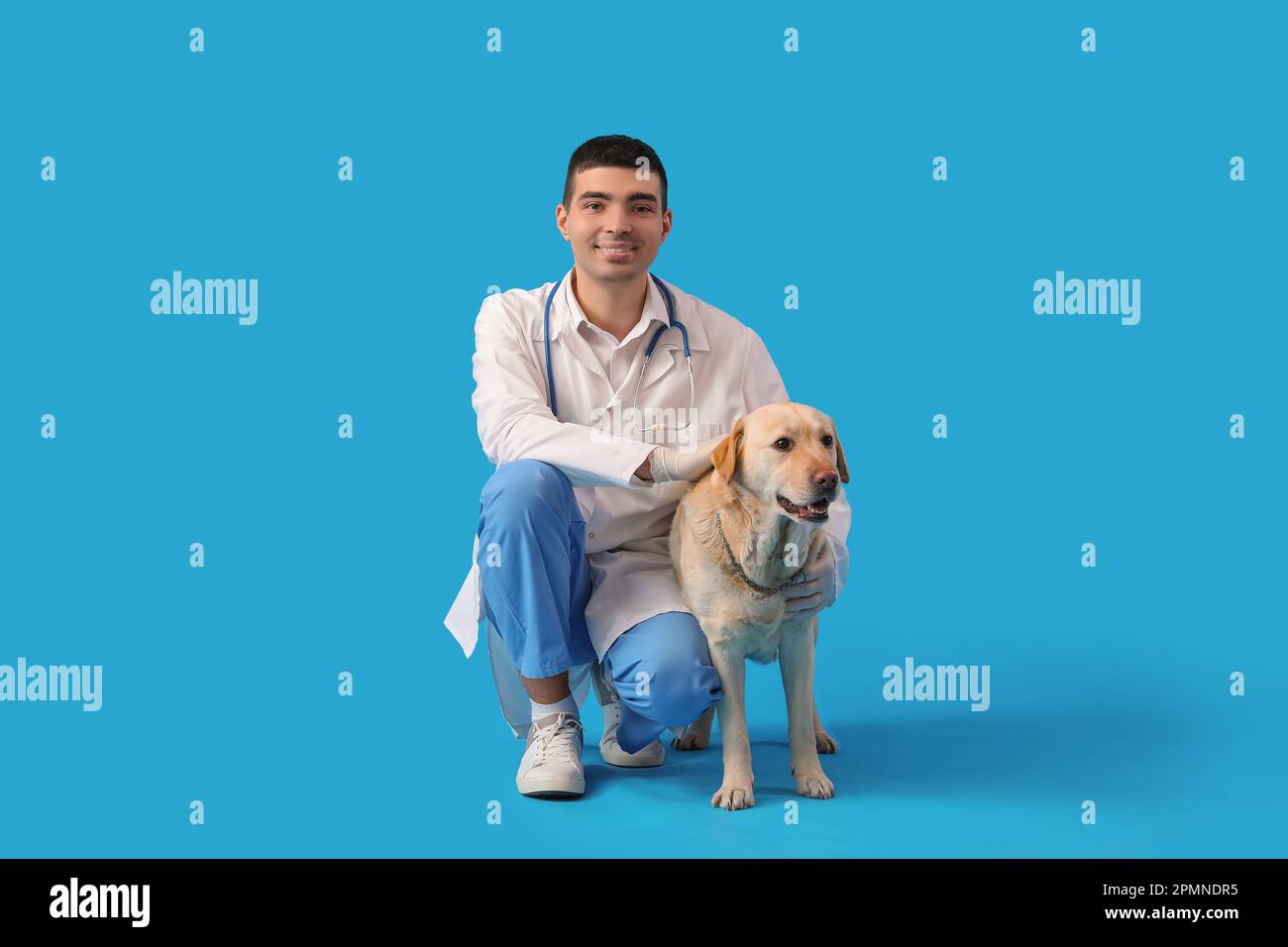 Männlicher Tierarzt mit niedlichem Labrador-Hund auf blauem Hintergrund Stockfoto