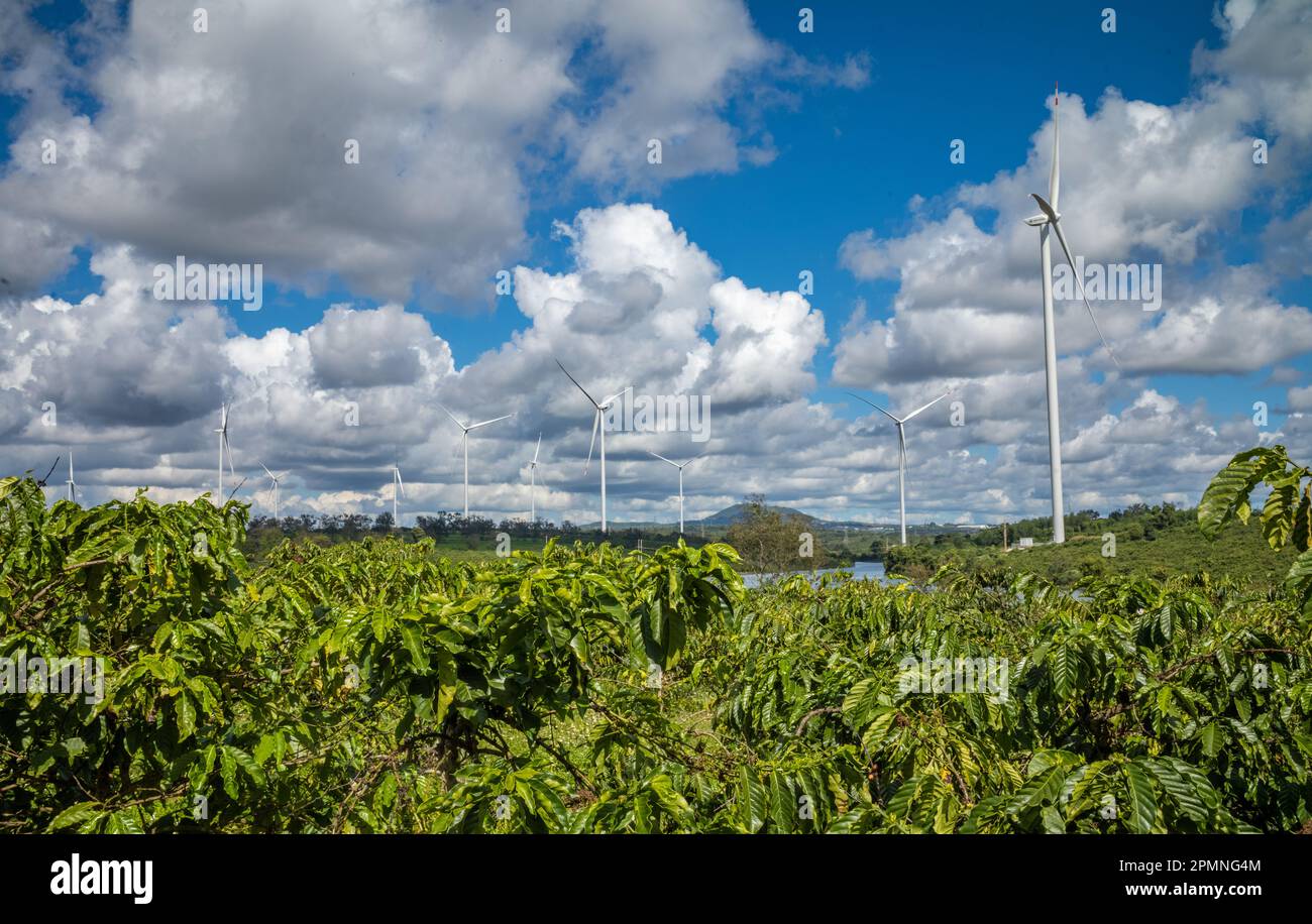 Riesige Windturbinen erheben sich über Kaffeebauplantagen auf dem Plateau im zentralen Hochland Vietnams in der Provinz Gia Lai. Stockfoto