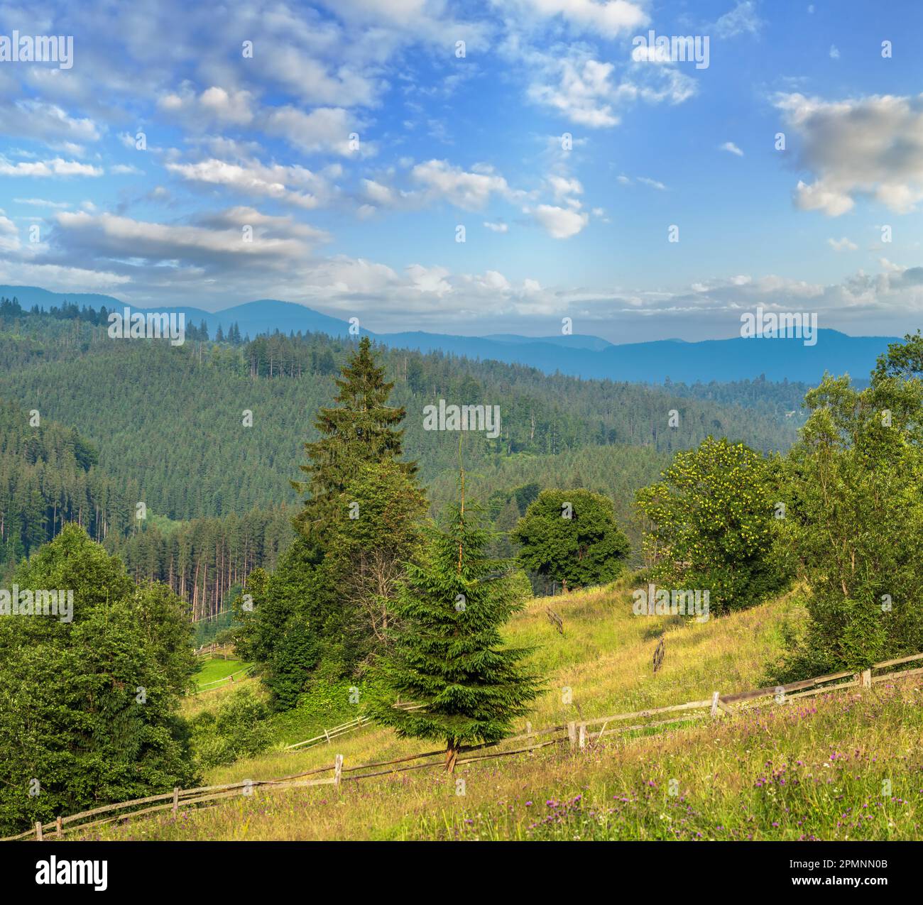Malerischer Sommer Blick auf die Karpaten, Ukraine Stockfoto