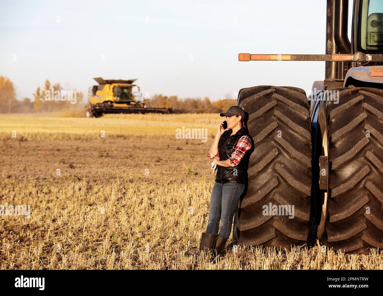 Eine reife Landwirtschaftsfrau, die sich an das Rad eines Traktors lehnt und mit ihrem Smartphone spricht, während ein Mähdrescher während der Herbsternte auf den Feldern arbeitet... Stockfoto