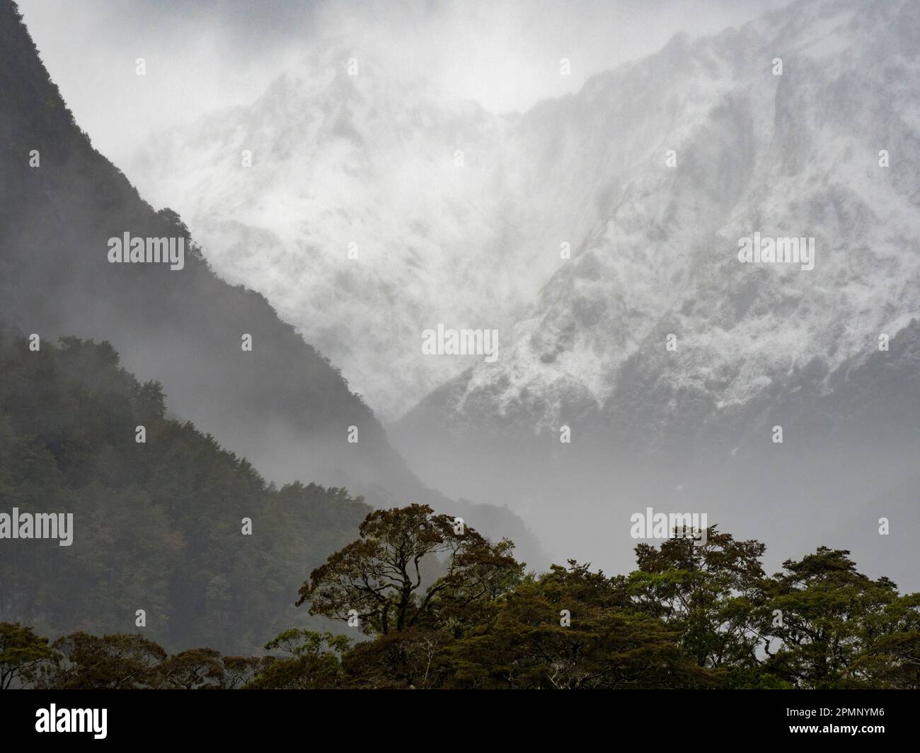 Schneebedeckte Berge bei Mile Seven des Milford Track; Milford Sound, Milford Track, South Island, Neuseeland Stockfoto