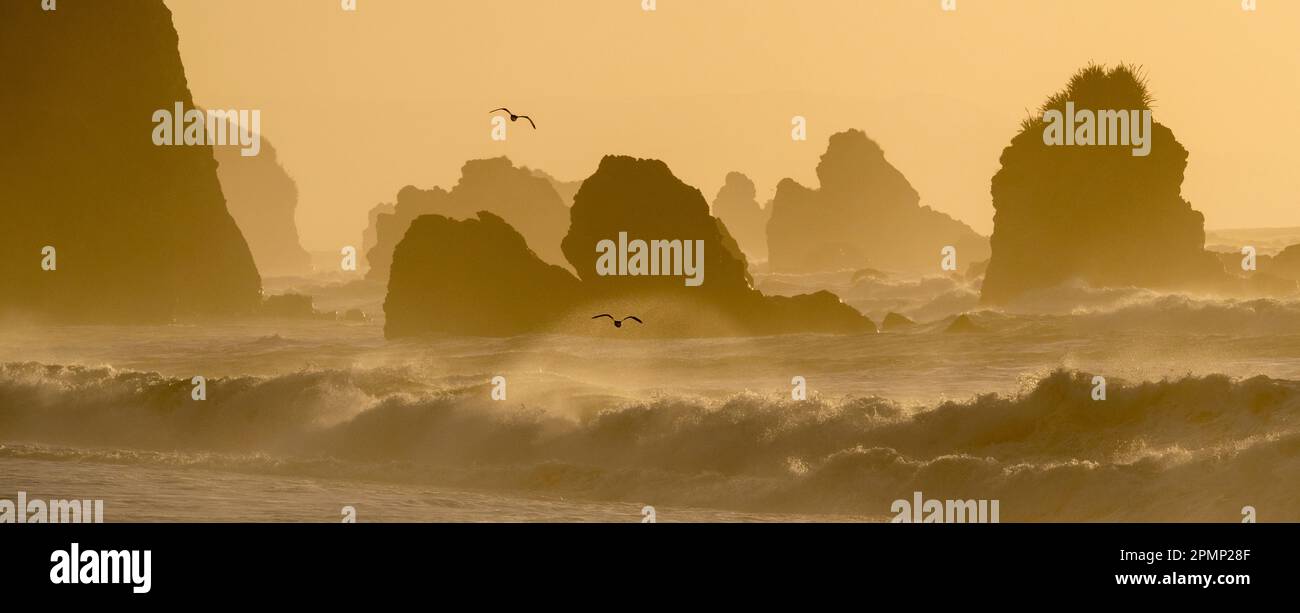 Sonnenuntergang entlang einer felsigen Küste in der Nähe von Haast, Neuseeland; Haast, Südinsel, Neuseeland Stockfoto