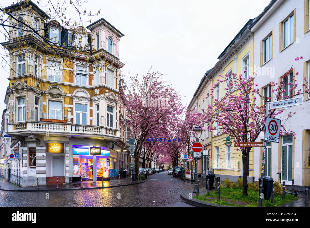 BONN, DEUTSCHLAND 12. April 2023 Beginn der Bonner Altstadt und Kirschblüte Stockfotografie