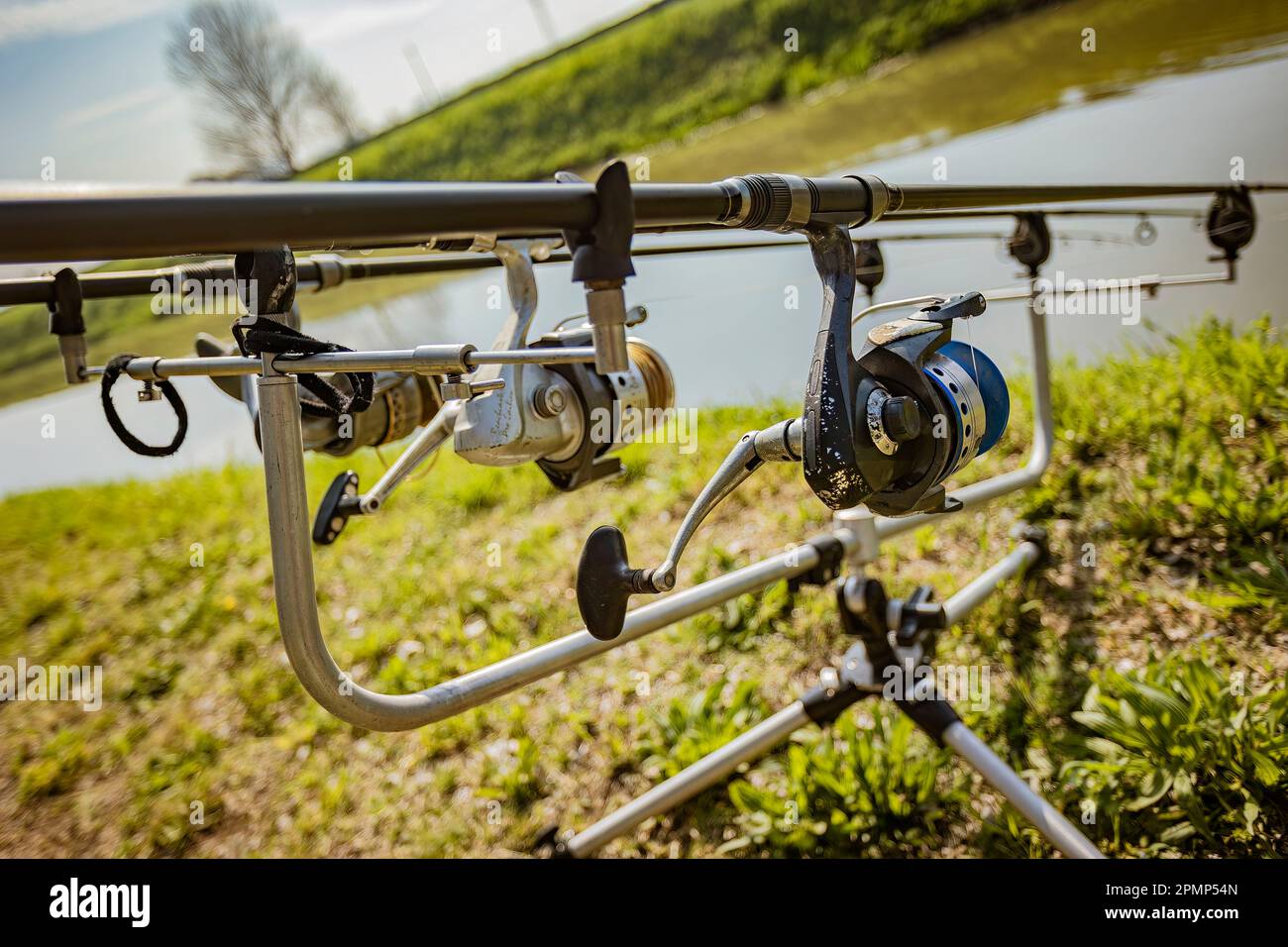 Ein Satz Angelruten und Ausrüstung zum Karpfenfischen auf einem Stativ am Flussufer. Stockfoto