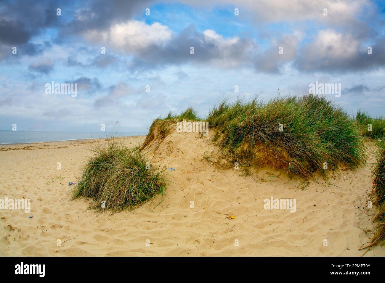 Sanddüne. Stockfoto