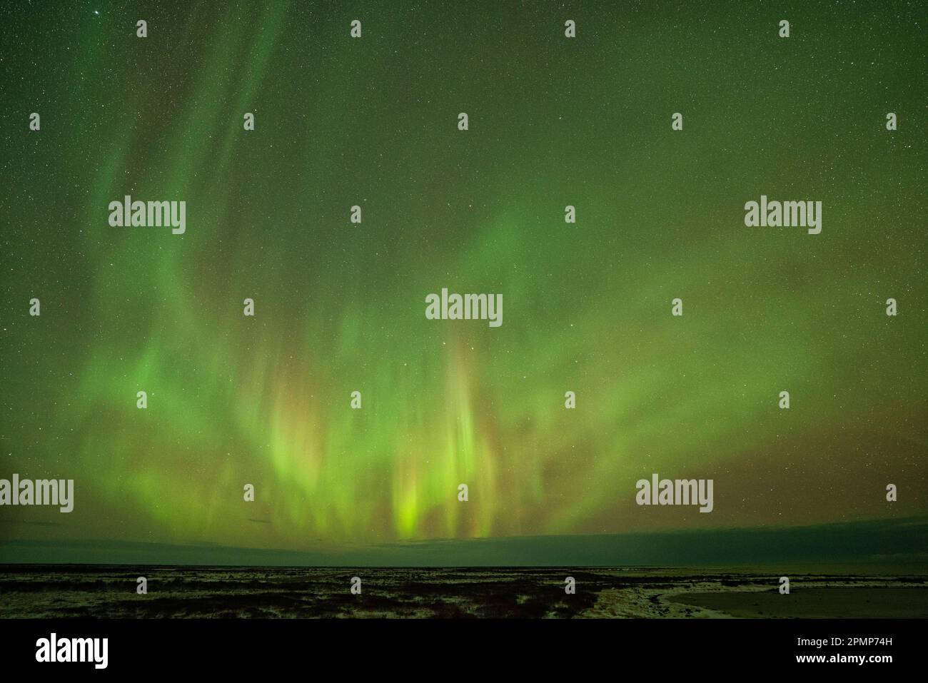 Aurora Borealis oder Nordlichter glühen am Himmel über Churchill; Churchill, Manitoba, Kanada Stockfoto