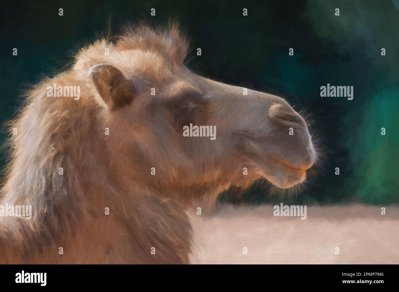 Digitale Malerei eines Nahbildes eines in Gefangenschaft gehaltenen Bactrianischen Kamels im Zoo, mit unscharfem Hintergrund. Stockfoto