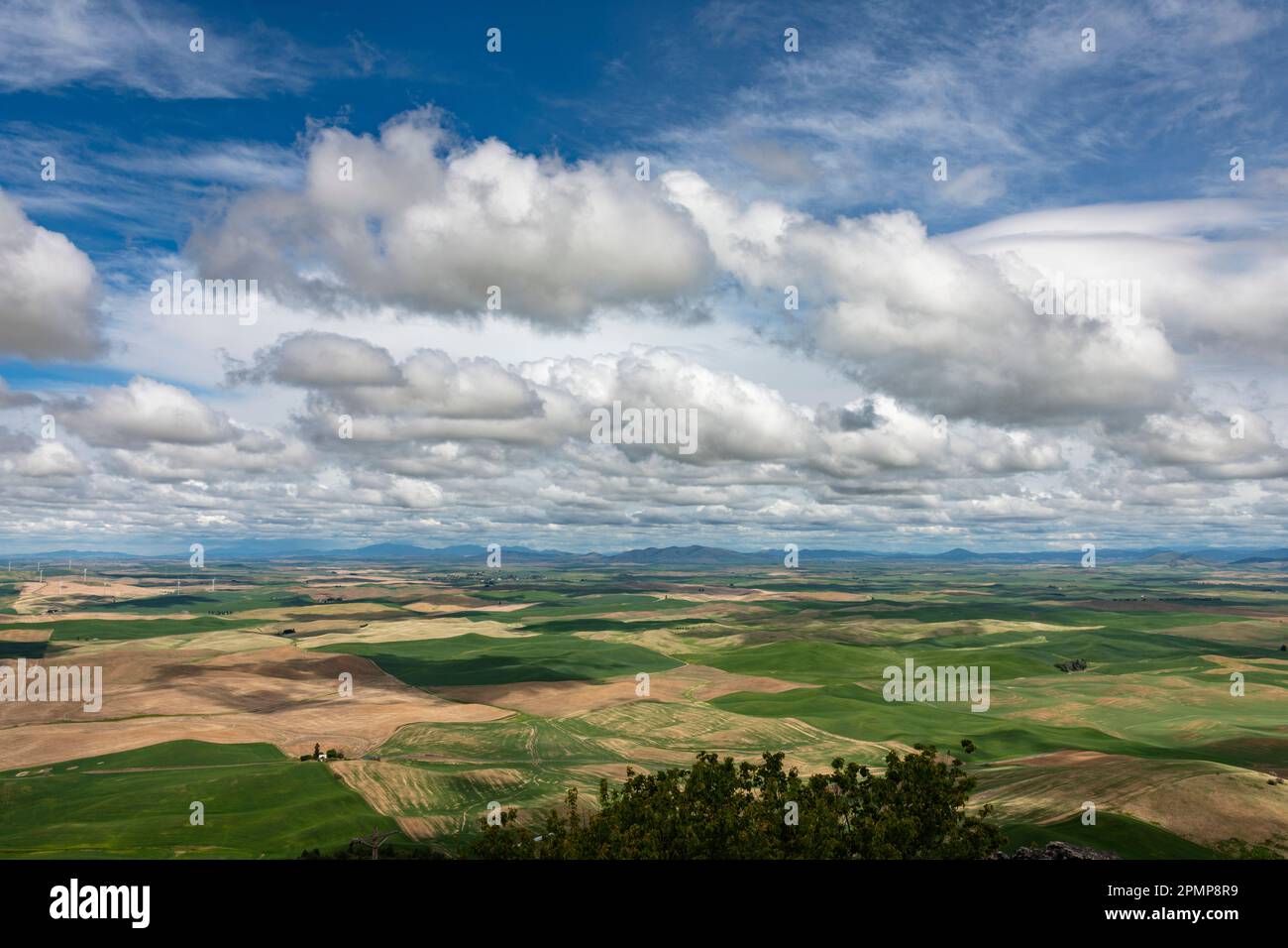 Blick auf die weitläufige Landschaft an einem wunderschönen Frühlingstag mit Blick auf die fruchtbaren landwirtschaftlichen Felder der Palouse Gegend vom Steptoe Butte State Park ... Stockfoto