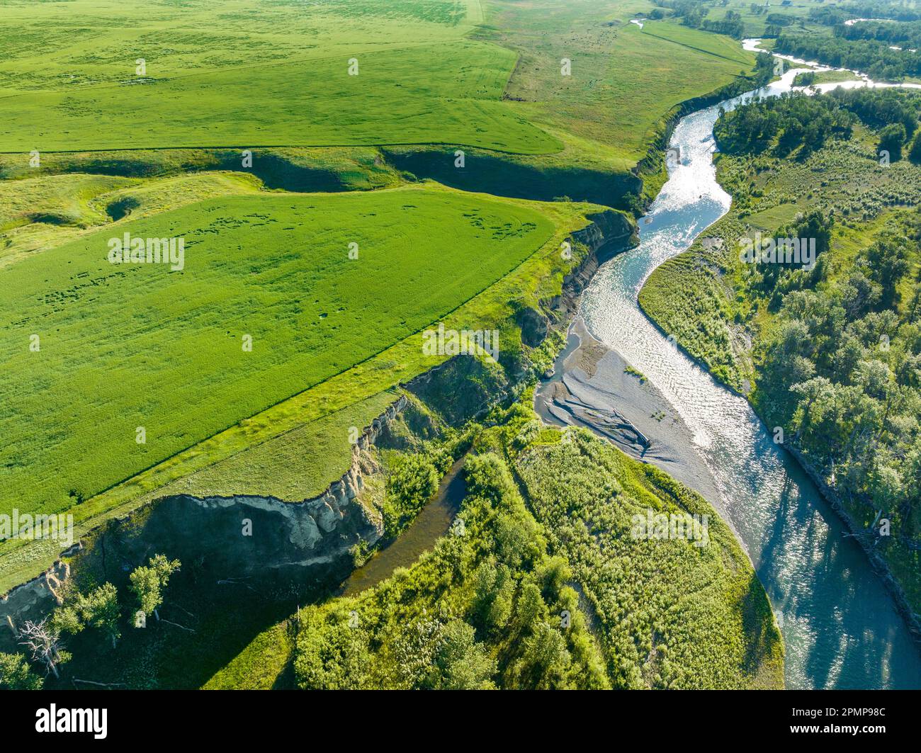 Fluss mit steilen Ufern und üppigen grünen Feldern im Südosten von Calgary, Alberta, Kanada Stockfoto