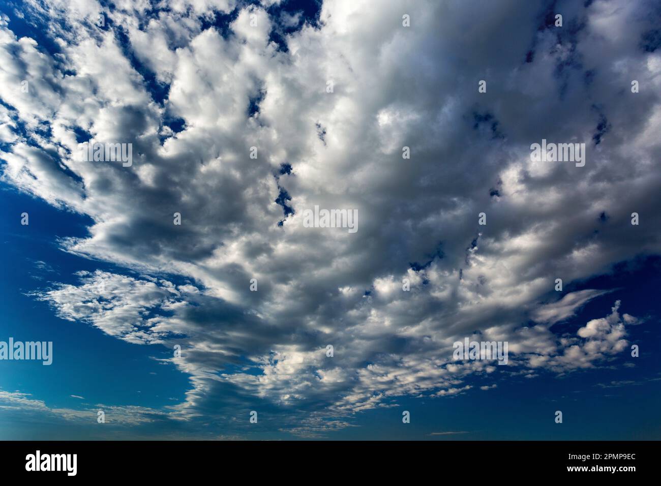 Dramatische Wolken am dunkelblauen Himmel: Calgary, Alberta, Kanada Stockfoto