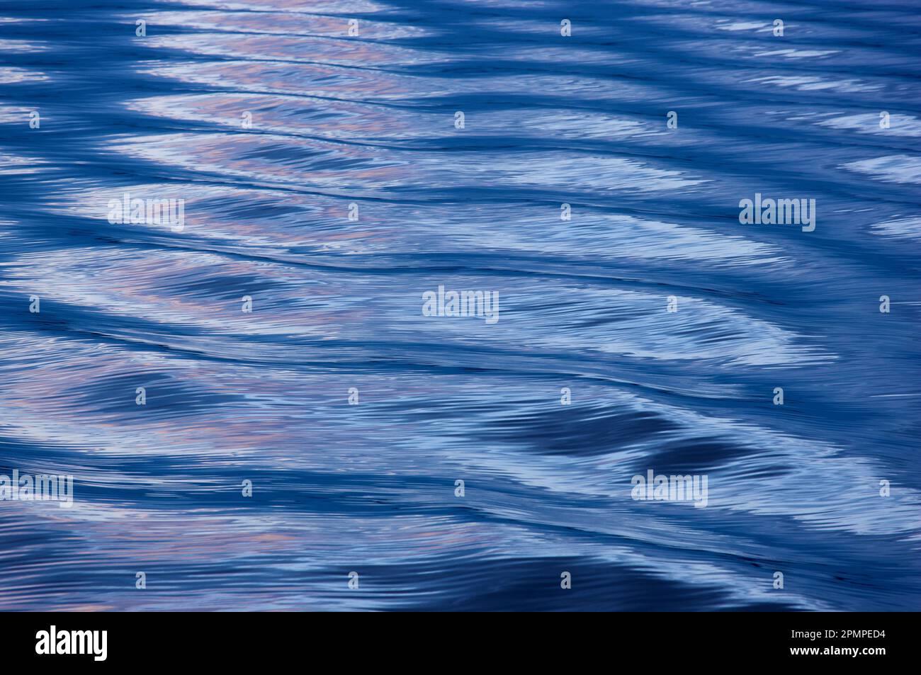 Reflexionen im welligen Wasser im Puget Sound, Washington, USA; Washington, Vereinigte Staaten von Amerika Stockfoto