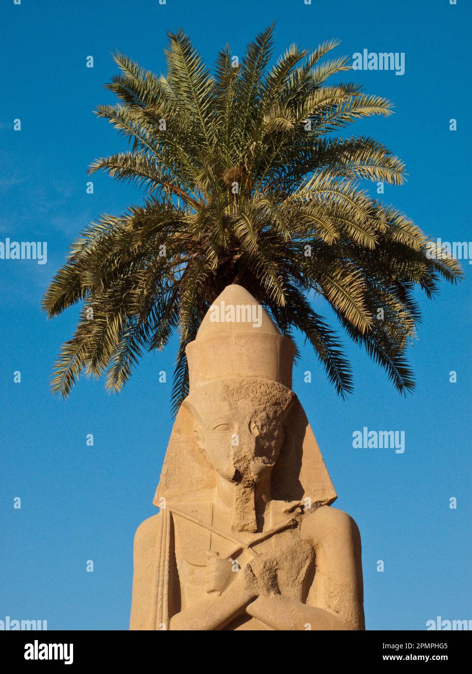 Koloss von Ramses II. In den Tempeln von Karnak; Karnak, Ägypten Stockfoto