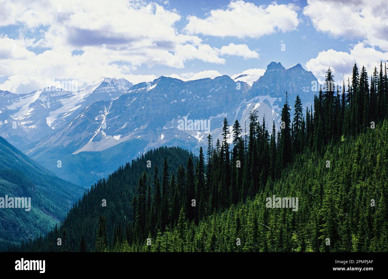 Malerischer Blick auf die Rocky Mountains im Yoho National Park, BC, Kanada; British Columbia, Kanada Stockfoto