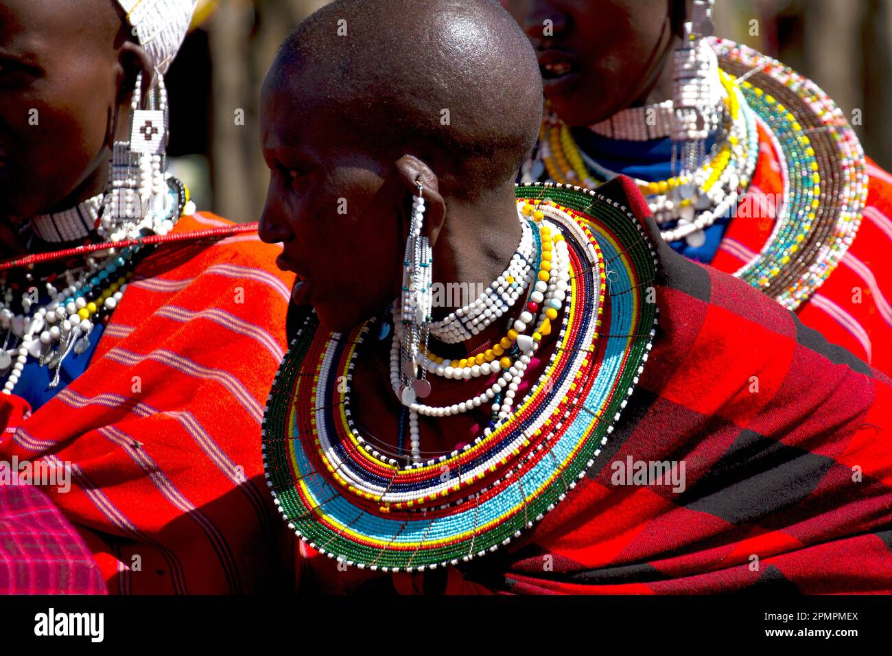 Masai-Frauen in traditioneller Kleidung; Ngorongoro-Krater, Tansania Stockfoto