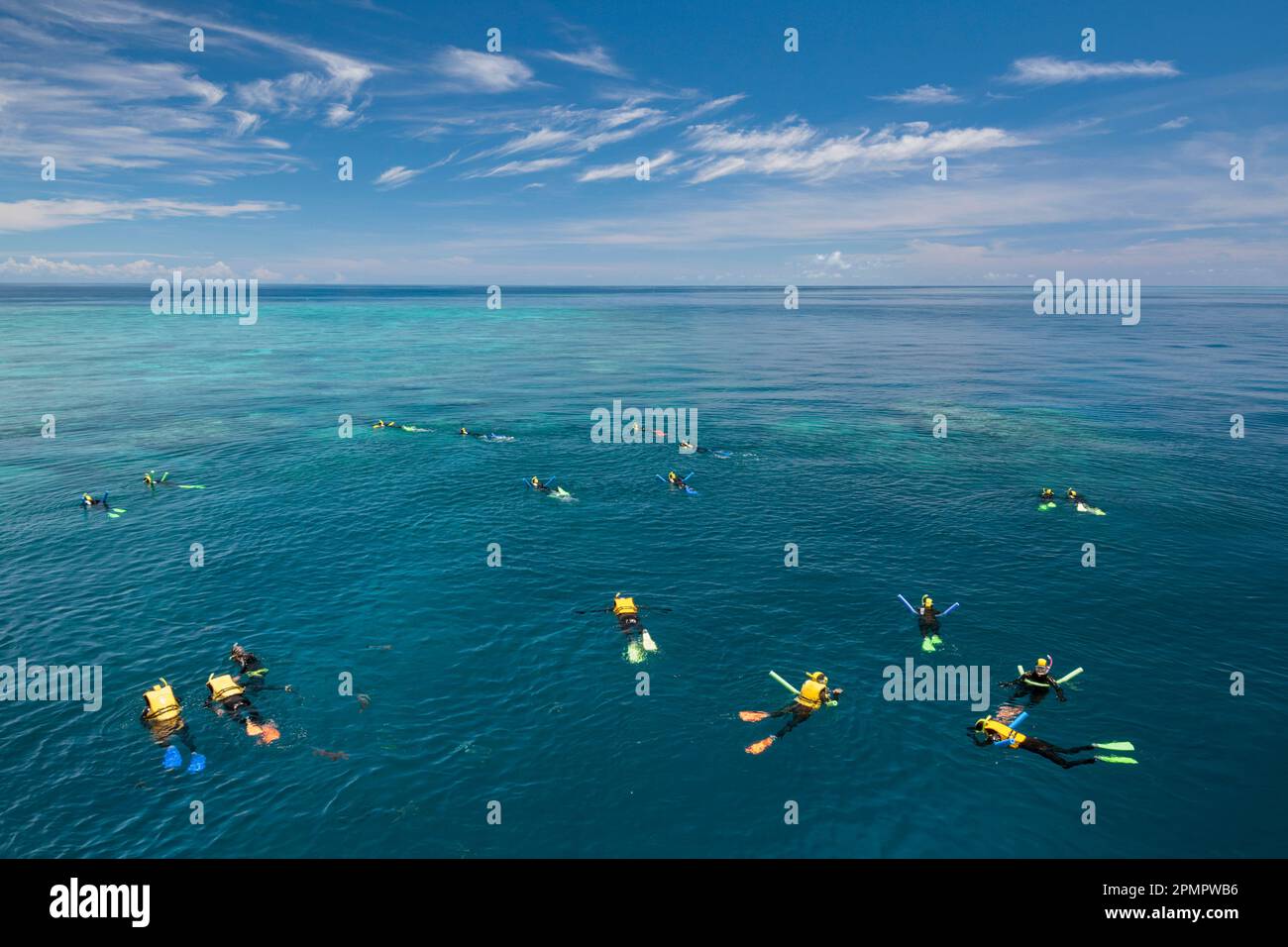 Schnorcheln am Great Barrier Reef; Port Douglas, North Queensland, Australien Stockfoto