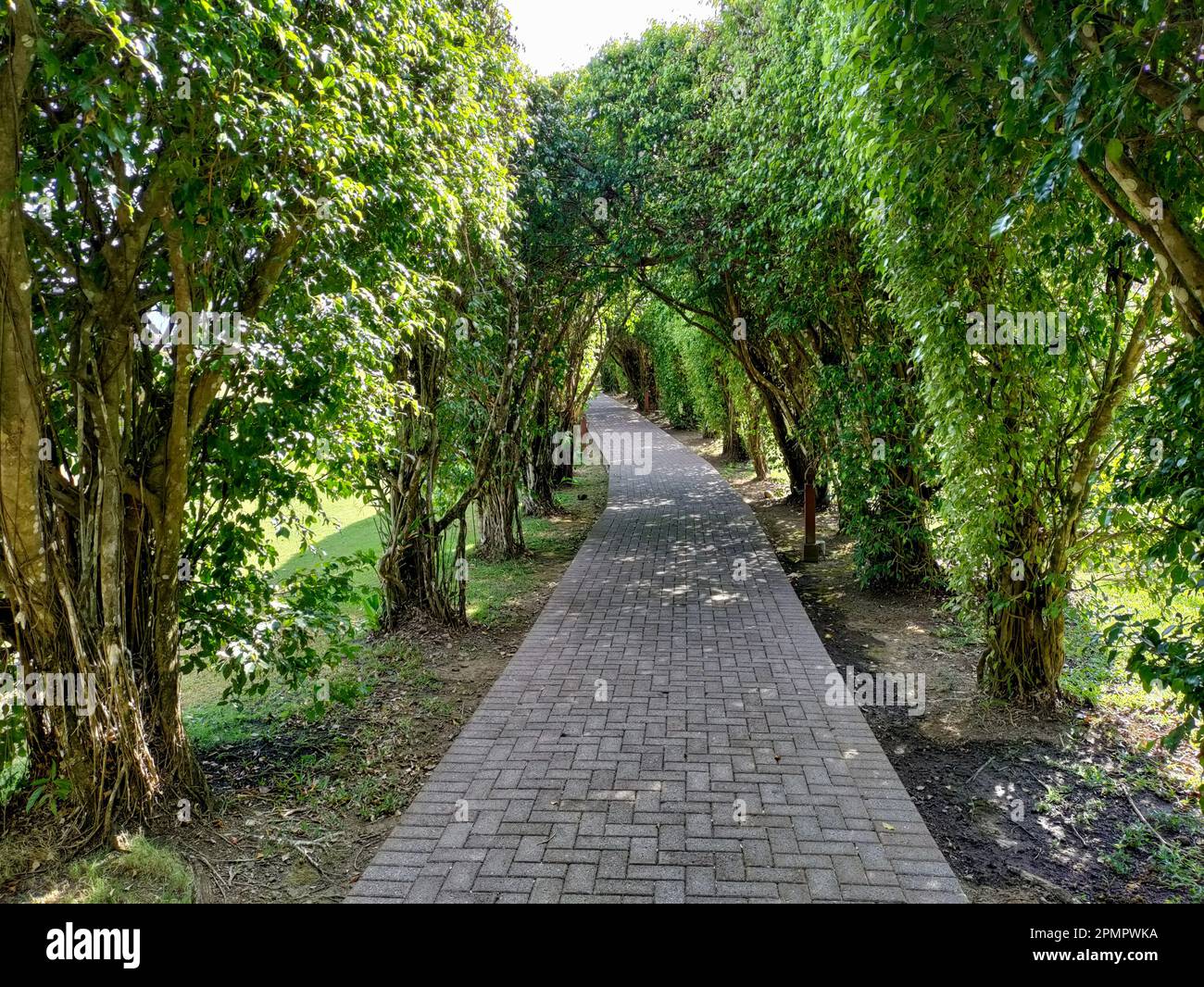 Playa Herradura, Costa Rica - Ein Fußweg im Los Suenos Resort und Marina. Das Pacific Ocean Resort bietet 25 umzäunte Gemeinden, einen Yachtclub, privat Stockfoto
