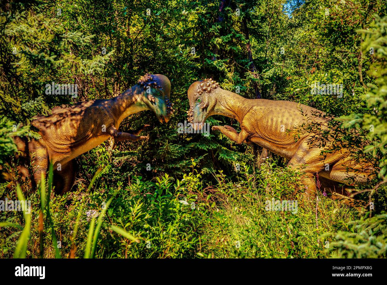 Skulpturen eines Paar Pachycephalosaurier im Jurrasic Forest, einer Touristenattraktion mit animatronischen Dinosauriern, vor den Toren von Gibbons, Alb... Stockfoto