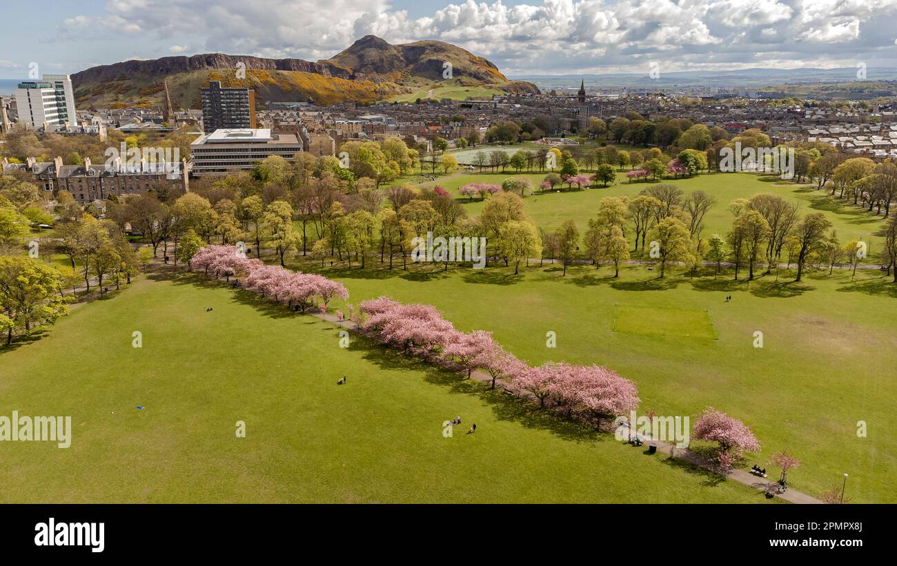 Blick aus der Vogelperspektive auf Edinburghs blühende Wiesen. Stockfoto