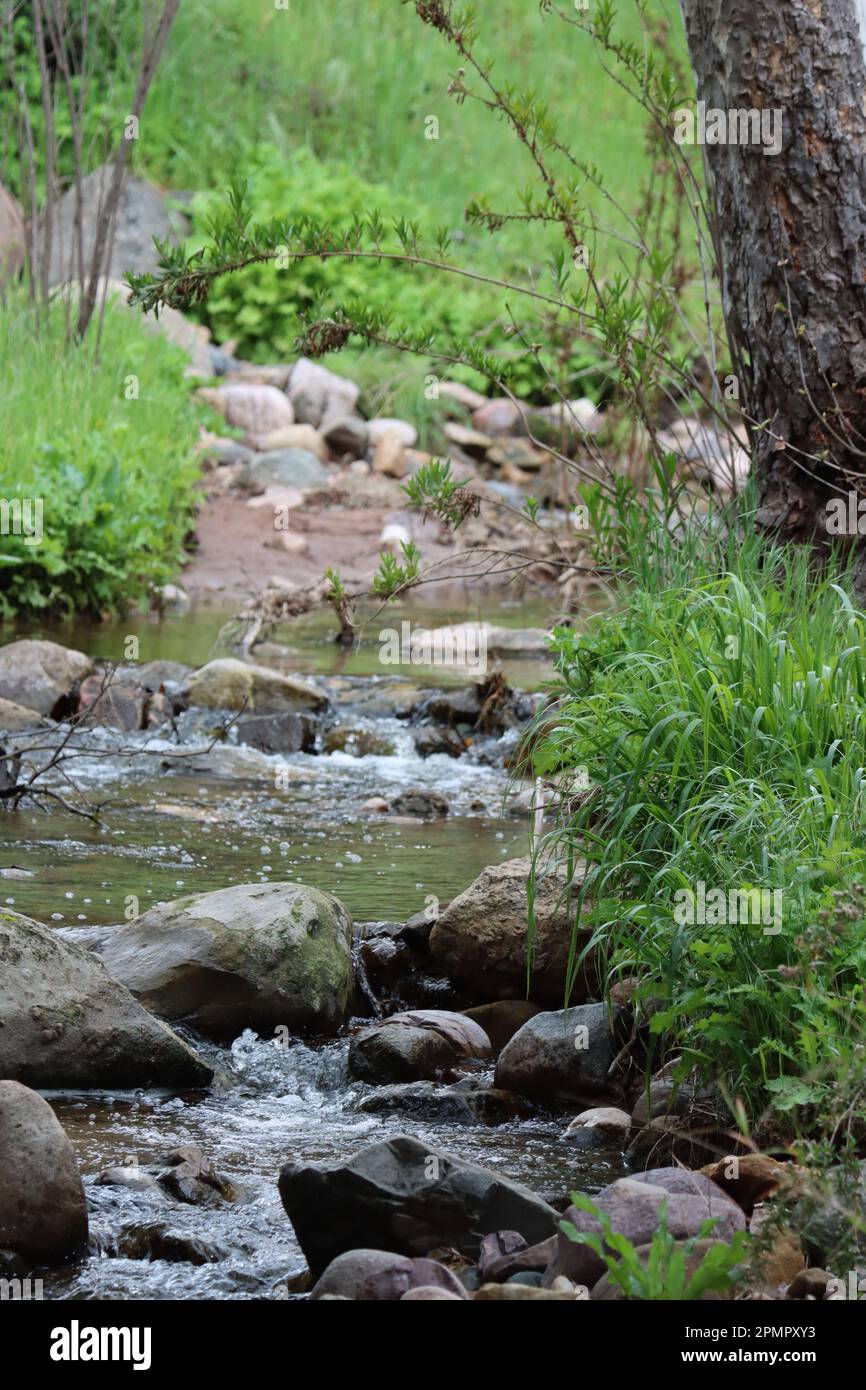 Während der Winter in den Frühling übergeht, fließt dieses skurrile Wasser einen Uferschlucht in den Santa Monica Mountains hinunter. Stockfoto