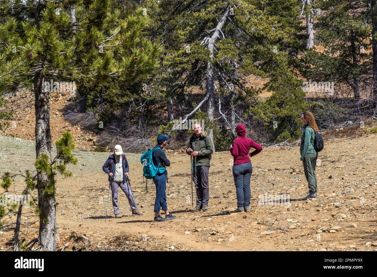 Wandern in den Troodos-Bergen, Zypern. Der Wanderführer Franz Bauernhofer erläutert seiner Wandergruppe die Besonderheiten der Troodos-Berge Stockfoto